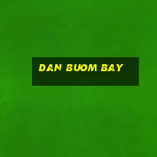 dan buom bay