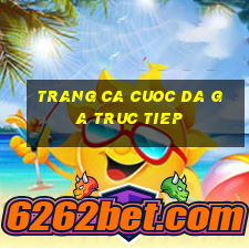 trang ca cuoc da ga truc tiep