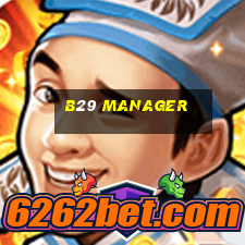 b29 manager