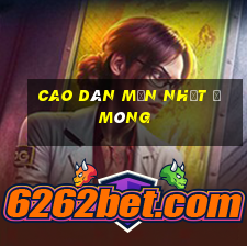 cao dán mụn nhọt ở mông