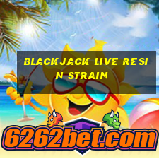 blackjack live resin strain