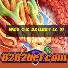 wed của ballbet là gì