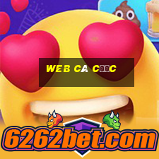 web cá cược