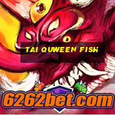 tai quween fish