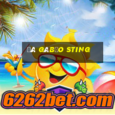 đá gà bảo sting