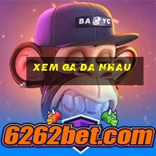 xem ga da nhau