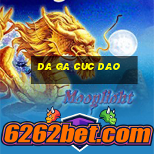 da ga cuc dao