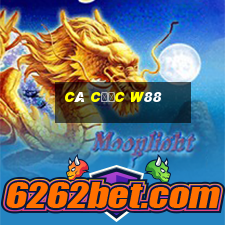 cá cược w88