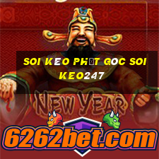 soi kèo phạt góc soikeo247