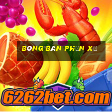 bóng bàn phản xạ