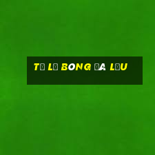 tỷ lệ bóng đá lưu