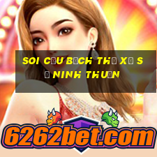 soi cầu bạch thủ xổ số ninh thuận