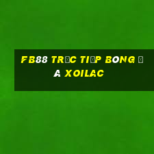 fb88 trực tiếp bóng đá xoilac