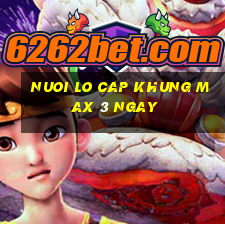 nuoi lo cap khung max 3 ngay