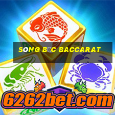 sòng bạc baccarat