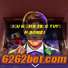 Điều hướng trực tuyến Bomei