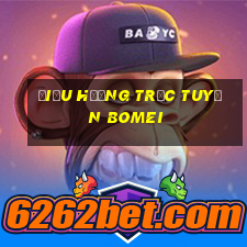 Điều hướng trực tuyến Bomei