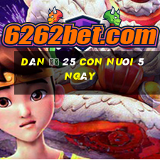 dàn đề 25 con nuôi 5 ngày