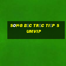 sòng bạc trực tiếp Sumvip