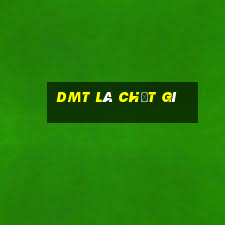 dmt là chất gì