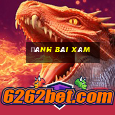 đánh bài xâm