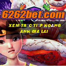 xem trực tiếp hoàng anh gia lai