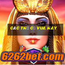 các thế cờ vua hay