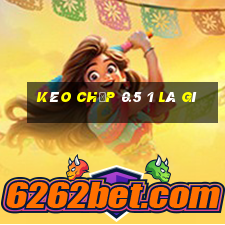 kèo chấp 0.5 1 là gì