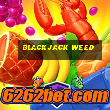 blackjack weed