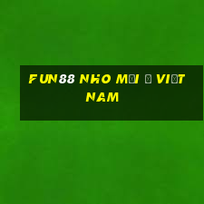 Fun88 nho mới ở Việt nam