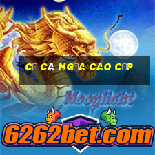 cờ cá ngựa cao cấp