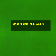 mau ga da hay