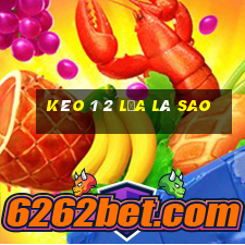 kèo 1 2 lựa là sao