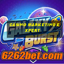 casino marketing expert