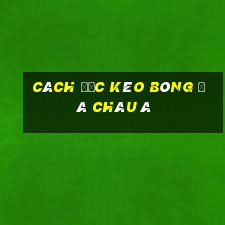 cách đọc kèo bóng đá châu á