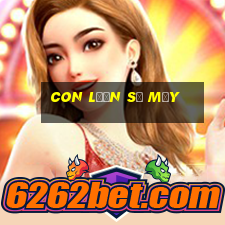 con lươn số mấy