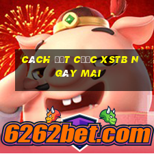 Cách đặt cược XSTB ngày mai