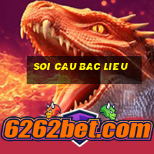 soi cau bac lieu