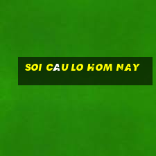 soi câu lo hom nay