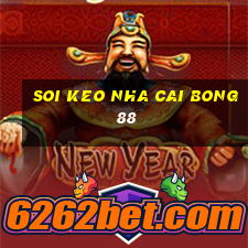 soi keo nha cai bong 88