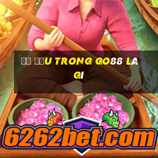 đề đầu trong go88 là gì