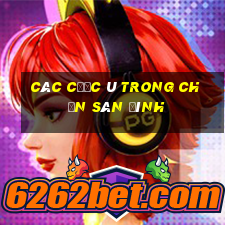 các cước ù trong chắn sân đình