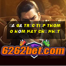 đá gà trực tiếp thomo hôm nay chủ nhật