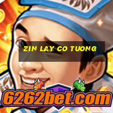 zin lay co tuong