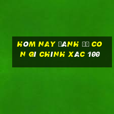 hôm nay đánh đề con gì chính xác 100