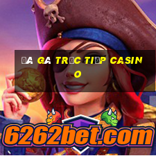 đá gà trực tiếp casino