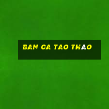 ban ca tao tháo