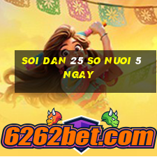 soi dan 25 so nuoi 5 ngay