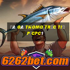 đá gà thomo trực tiếp cpc1