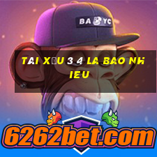 tài xỉu 3 4 la bao nhieu